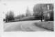 williamscorner11_small.jpg
