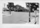 williamscorner5_small.jpg